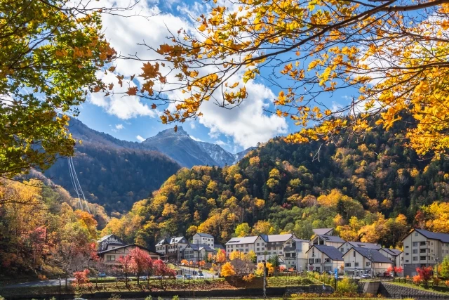 Mùa thu Nhật Bản tại vườn quốc gia Daisetsuzan Hokkaido