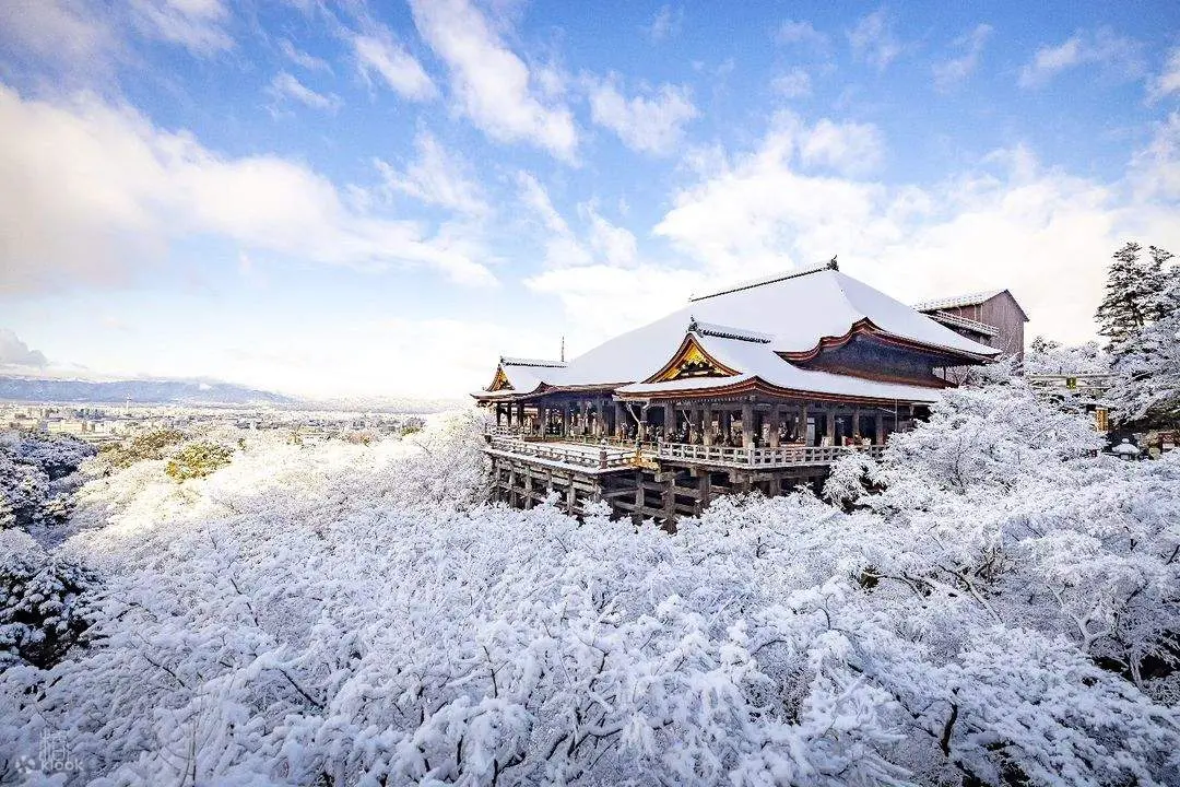 TOUR NHẬT BẢN ĐÓN TẾT TÂY 2027_VJ CHARTER_OSAKA – PHÚ SĨ – NAGOYA – KYOTO – OSAKA