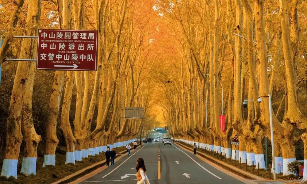 Địa điểm du lịch mùa thu - Nam Kinh