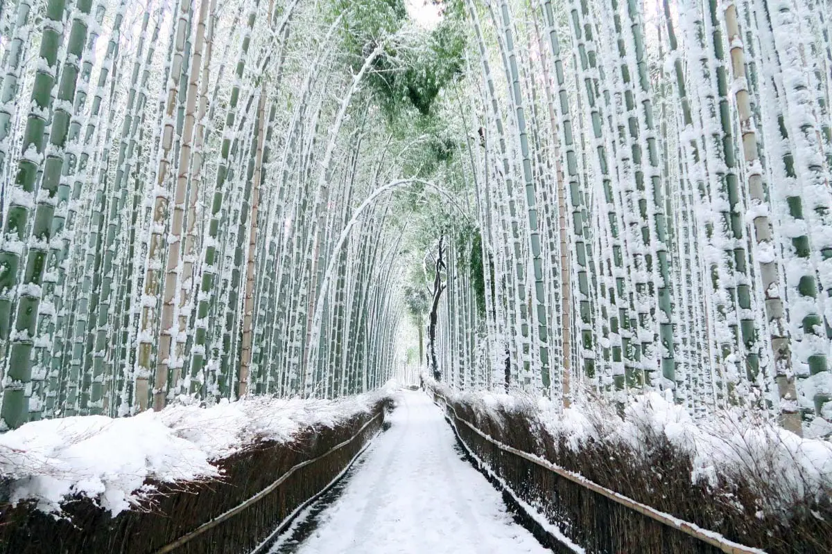 TOUR NHẬT BẢN MÙA ĐÔNG – ĐÓN TẾT TÂY 2027_VJ CHARTER_OSAKA – KYOTO – KOBE