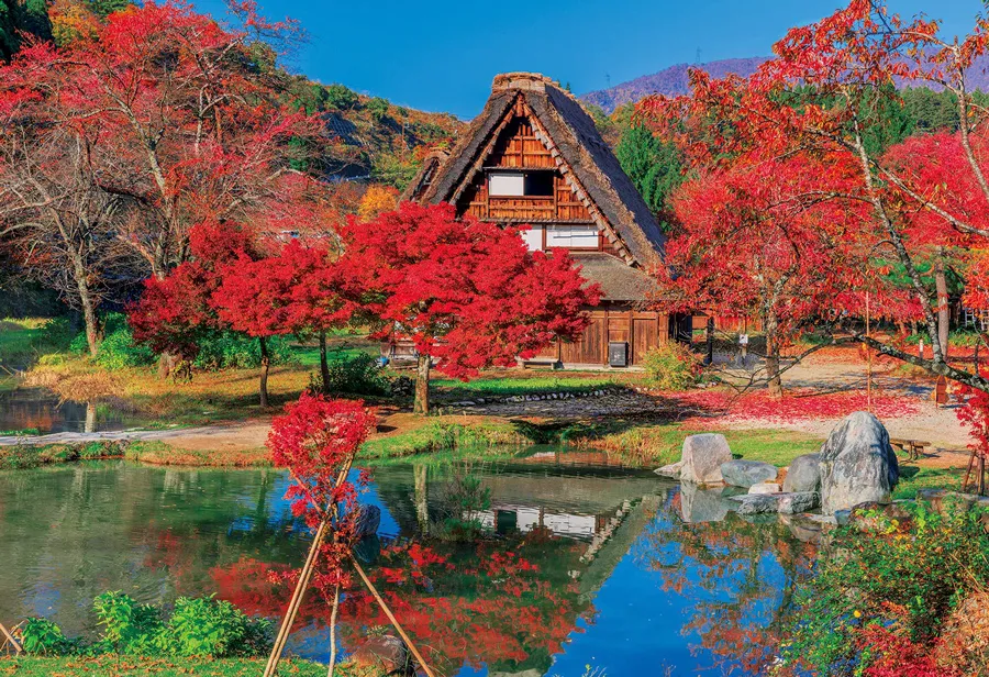 Địa điểm du lịch mùa thu tại Shirakawago