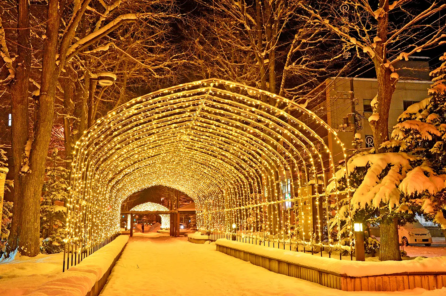 HOKKAIDO NHẬT BẢN MÙA ĐÔNG_7N6Đ_BAY JAPAN AIRLINES