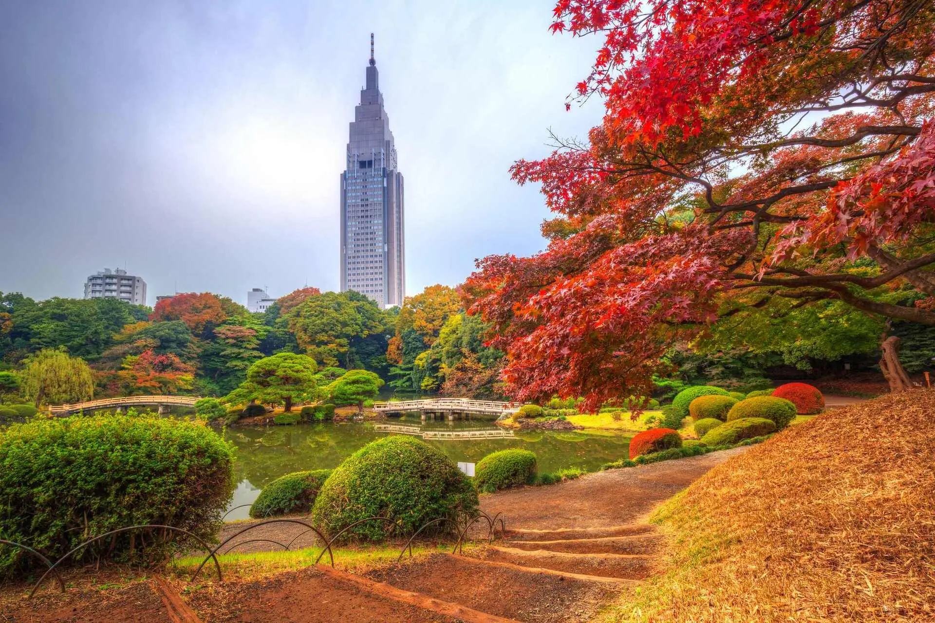 Mùa Thu Lá Đỏ tại Công viên Shinjuku Goen Tokyo Nhật Bản