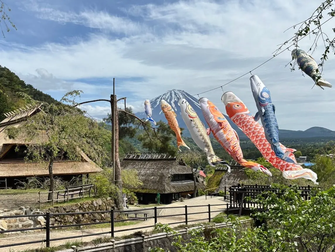 Làng cổ Saiko Iyashi no Sato Nenbacó đáng để ghé không?